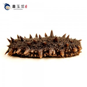 单冻即食海参500g（8-10头）