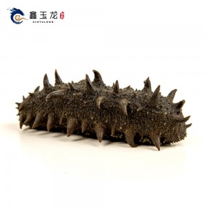 盐渍海参